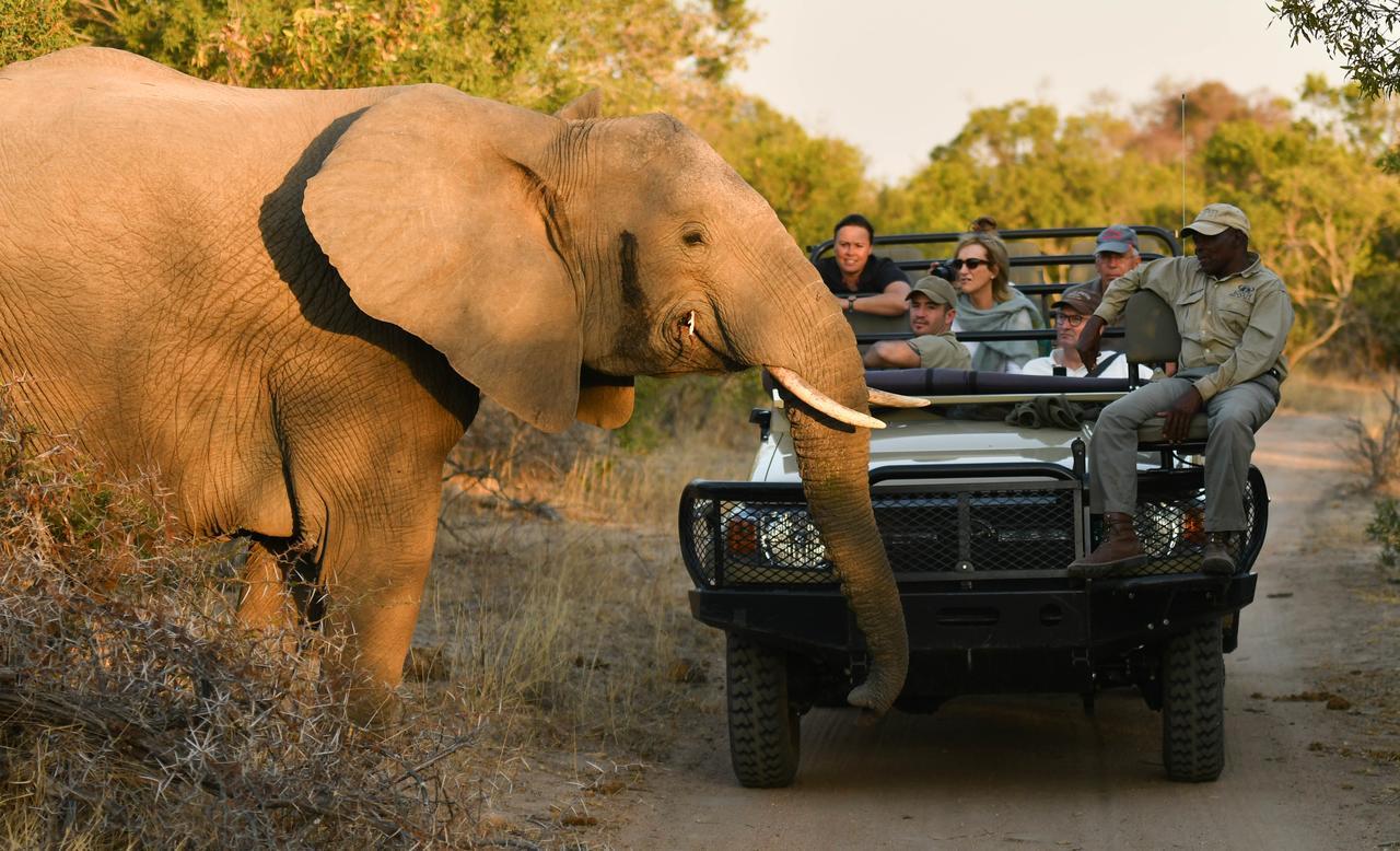 Inyati Game Lodge Sabi Sand Game Reserve Buitenkant foto