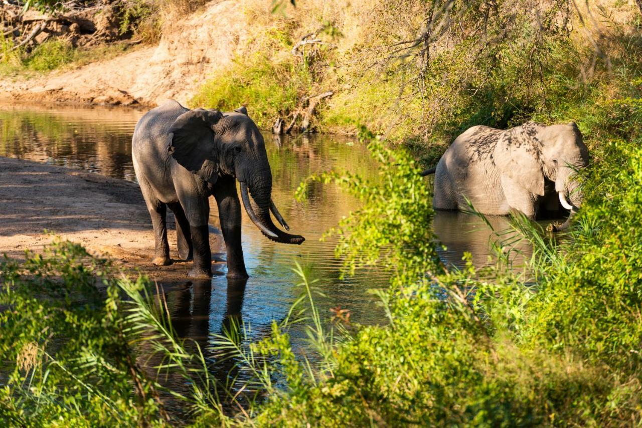 Inyati Game Lodge Sabi Sand Game Reserve Buitenkant foto