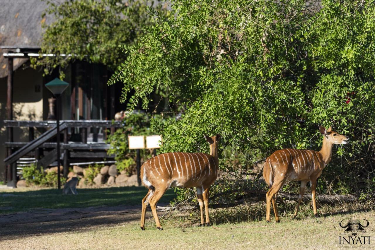 Inyati Game Lodge Sabi Sand Game Reserve Buitenkant foto